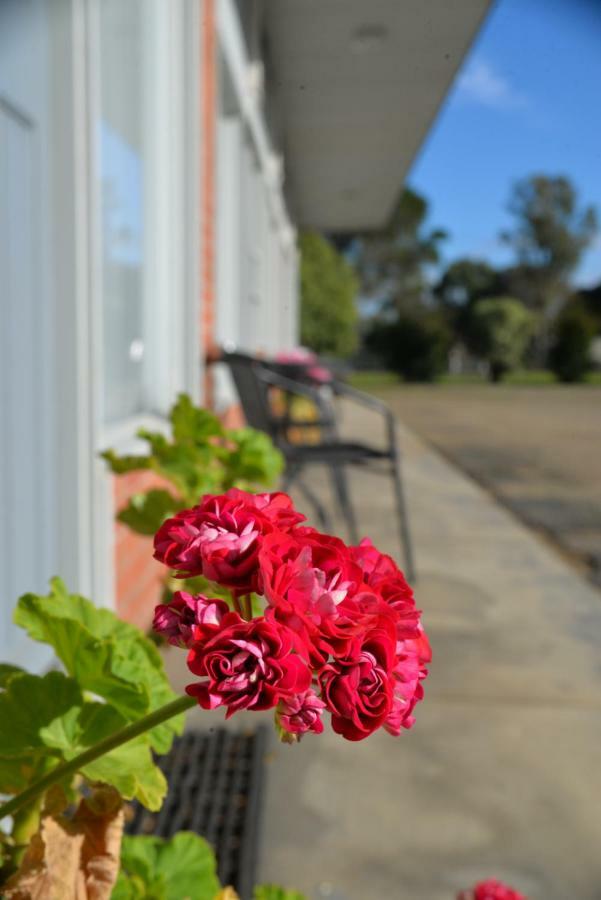 Ship Inn Motel Yarram Exteriér fotografie